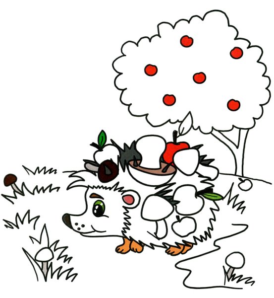 Еж с грибами раскраска