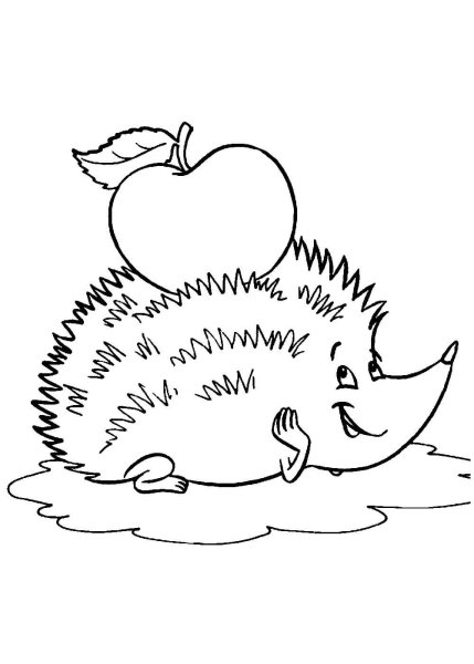 Ежик с яблоком раскраска