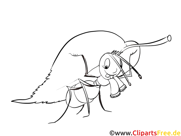 A wie Ameise Coloring