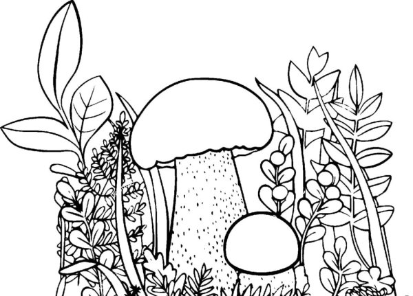 Раскраска грибы в лесу