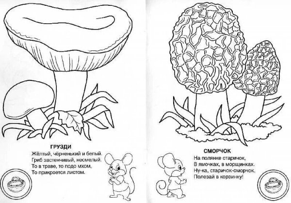 Несъедобные грибы раскраска для детей
