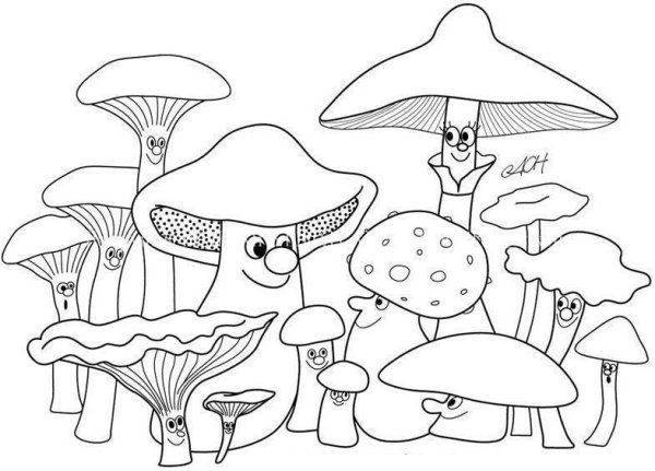 Царство грибов раскраска