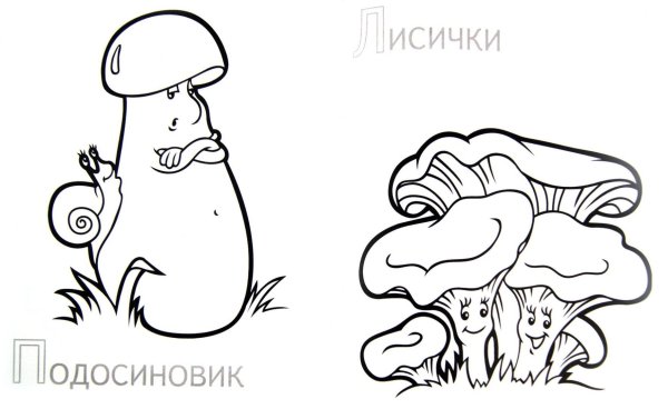 Грибы раскраска для детей