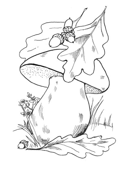 Осень раскраска для детей