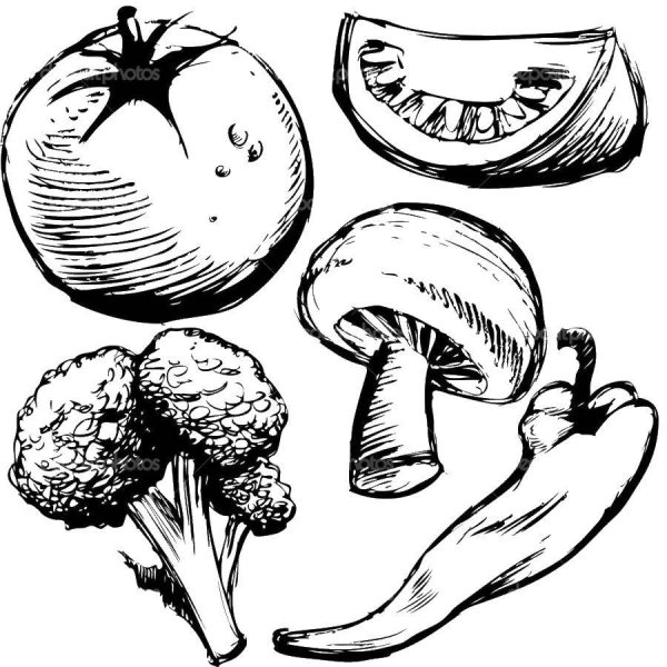 Овощи грибы вектор