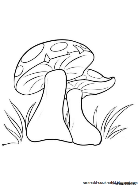 Грибы раскраска для детей