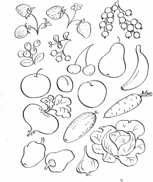 Овощи и фрукты задания для детей
