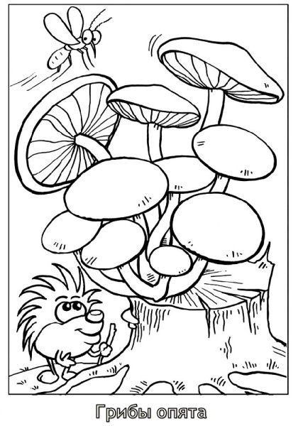 Гриб груздь раскраска