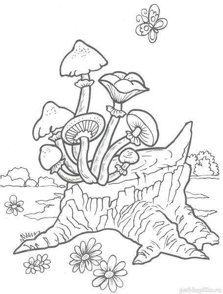 Раскраска грибы опята