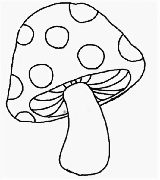 Гриб мухомор раскраска