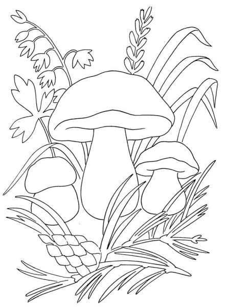 Раскраска дары леса