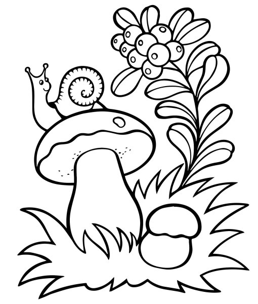 Гриб раскраска