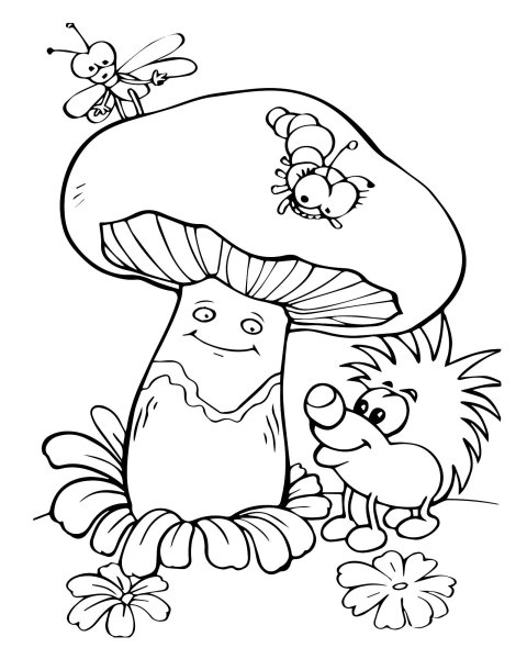 Грибы раскраска для детей