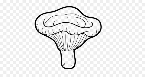 Нарисовать свинушка гриб