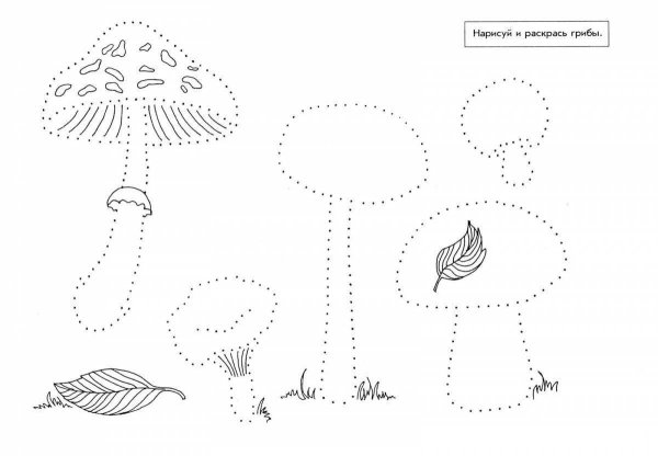 Графомоторика грибы