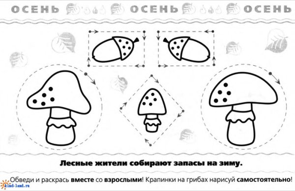 Гриб по точкам