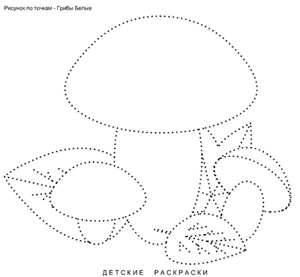 Гриб по точкам обвести