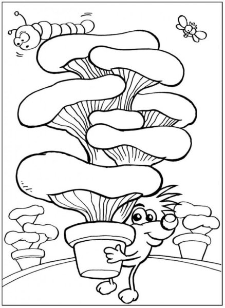 Грибвешинка разукрашка