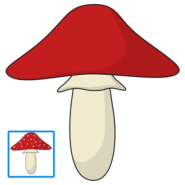 Мухомор без пятнышек