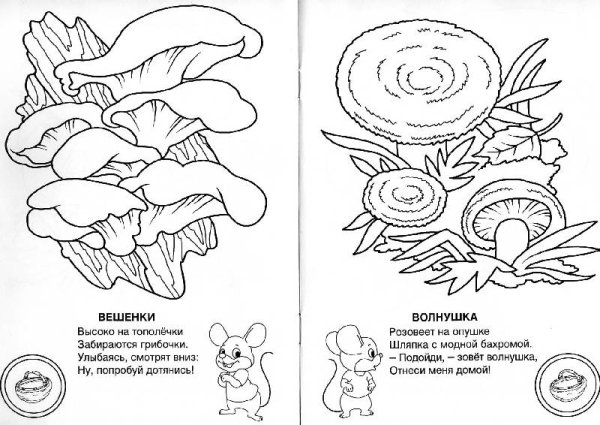 Съедобные и несъедобные грибы раскраска