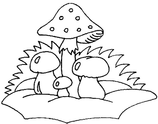 Ежик с грибами раскраска