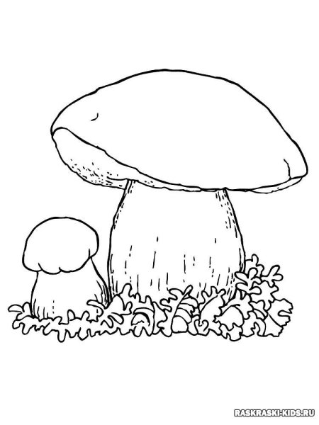 Грибы в банке раскраска