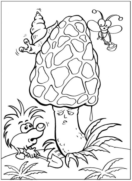 Раскраска сморчок гриб для детей