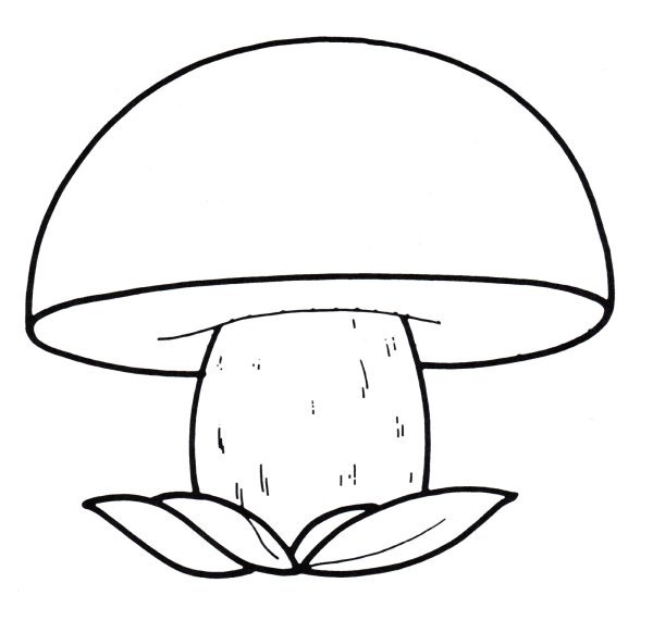 Гриб Боровик раскраска