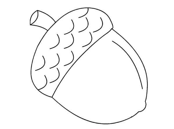 Орех раскраска для детей