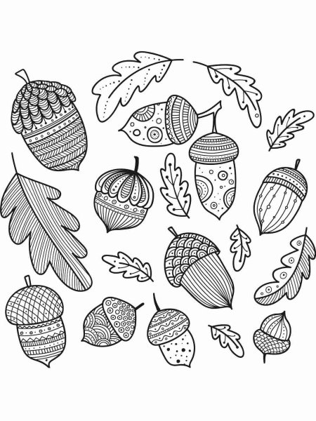 Орехи и желуди раскраска