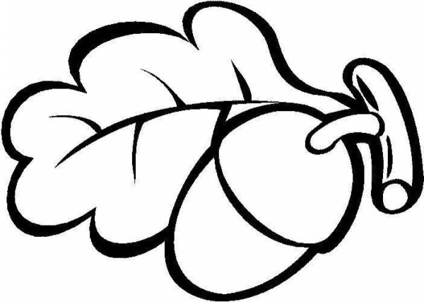 Орех раскраска для детей