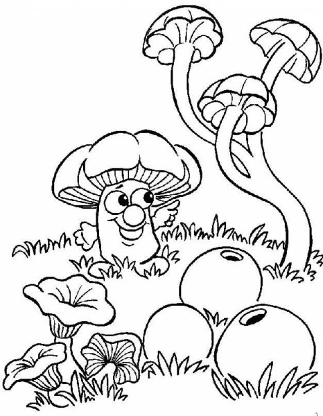 Гриб раскраска