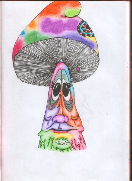 Раскраска грибы психоделические