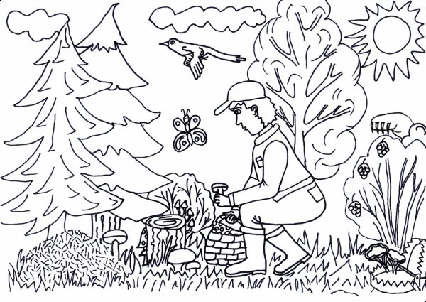 Грибы в лесу раскраска для детей