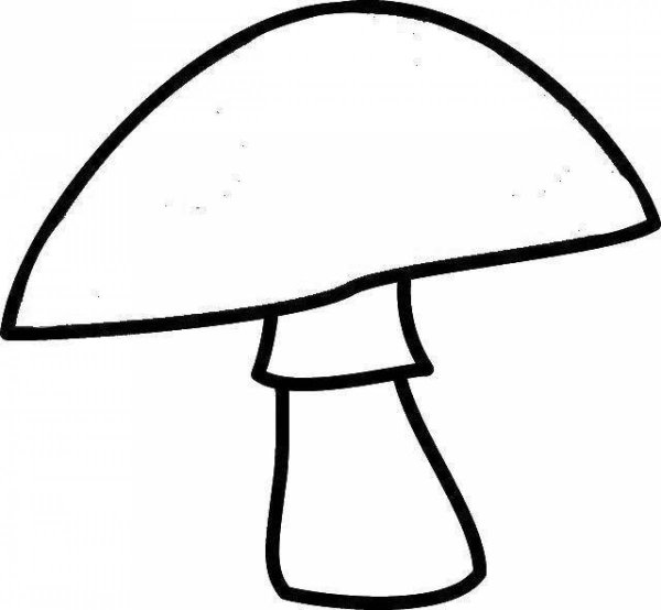 Гриб раскраска для малышей