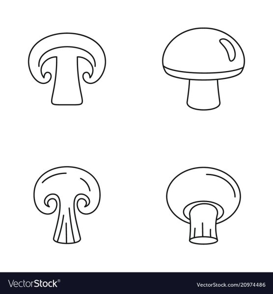 Шампиньон в разрезе вектор