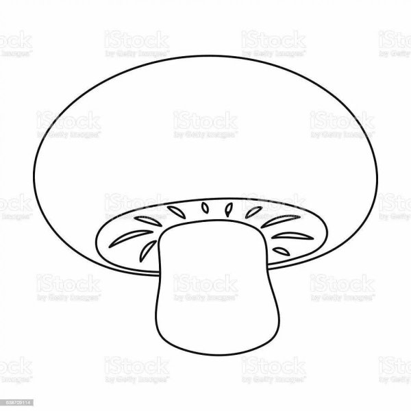 Раскраска гриб шампиньон