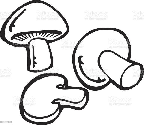 Раскраска гриб шампиньон