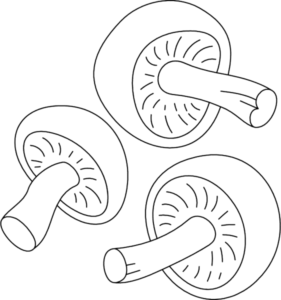 Раскраска гриб шампиньон