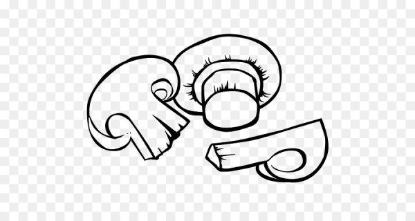 Шампиньон раскраска