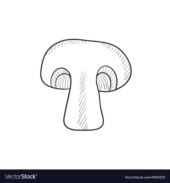 Грибы нарезанные раскраска