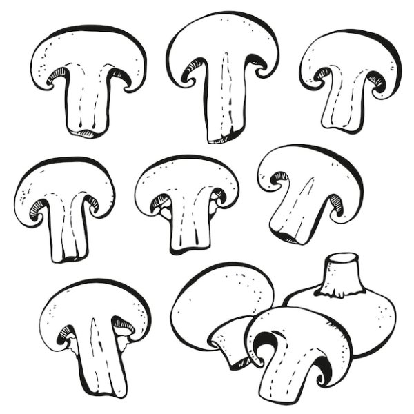 Шампиньоны картина