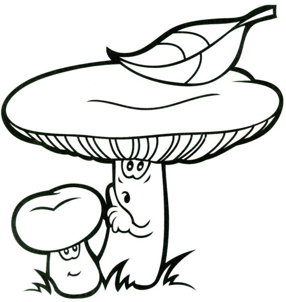 Раскраска гриб сыроежка