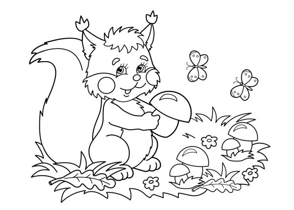 Раскраска Белочка с грибом