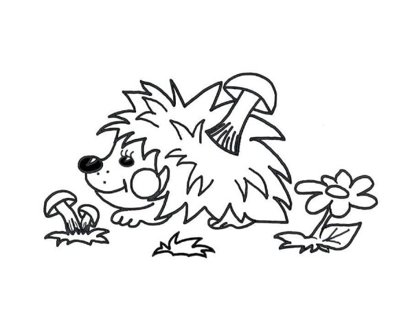 Ёжик раскраска для детей