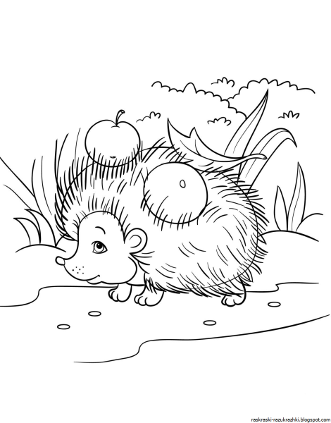 Ёжик раскраска для детей