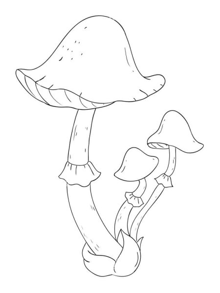 Бледная поганка гриб нарисовать