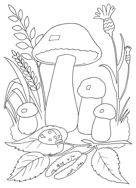 Осенние грибы раскраска для детей