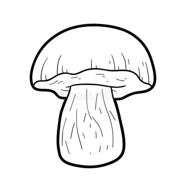 Сатанинский гриб рисунок