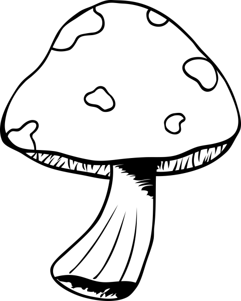 Мухомор раскраска для детей